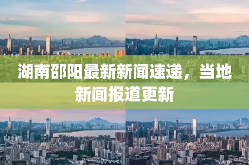 洛海莹 第12页