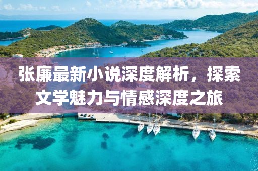 张廉最新小说深度解析，探索文学魅力与情感深度之旅