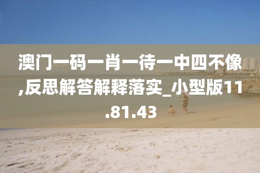 澳门一码一肖一待一中四不像,反思解答解释落实_小型版11.81.43