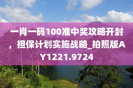 一肖一码100准中奖攻略开封，担保计划实施战略_拍照版AY1221.9724