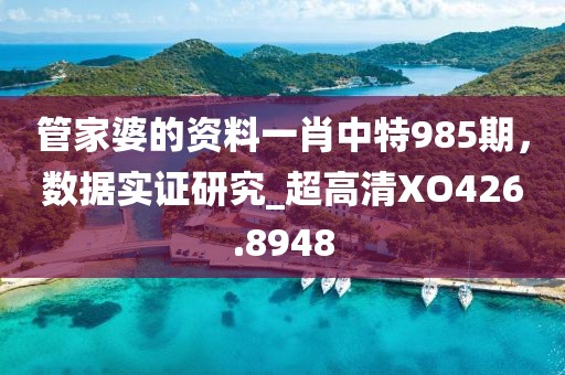 管家婆的资料一肖中特985期，数据实证研究_超高清XO426.8948