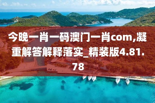 今晚一肖一码澳门一肖com,凝重解答解释落实_精装版4.81.78
