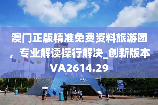 澳门正版精准免费资料旅游团，专业解读操行解决_创新版本VA2614.29