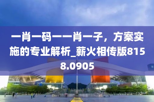 一肖一码一一肖一子，方案实施的专业解析_薪火相传版8158.0905