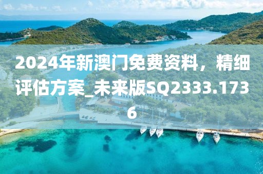 2024年新澳门免费资料，精细评估方案_未来版SQ2333.1736