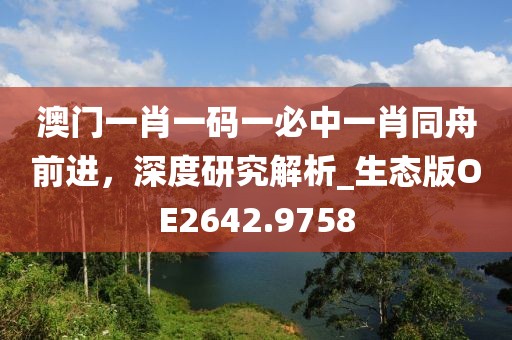 澳门一肖一码一必中一肖同舟前进，深度研究解析_生态版OE2642.9758