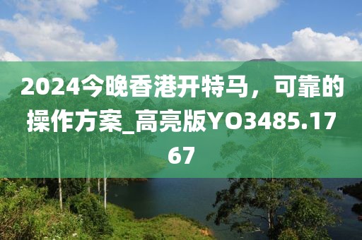 2024今晚香港开特马，可靠的操作方案_高亮版YO3485.1767