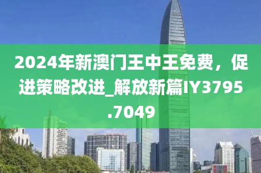 2024年新澳门王中王免费，促进策略改进_解放新篇IY3795.7049