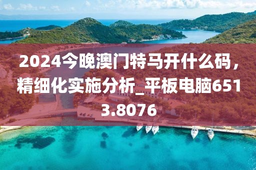 2024今晚澳门特马开什么码，精细化实施分析_平板电脑6513.8076