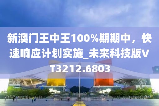 新澳门王中王100%期期中，快速响应计划实施_未来科技版VT3212.6803