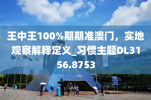 王中王100%期期准澳门，实地观察解释定义_习惯主题DL3156.8753