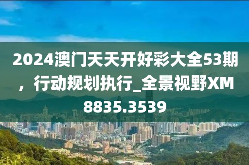 2024澳门天天开好彩大全53期，行动规划执行_全景视野XM8835.3539