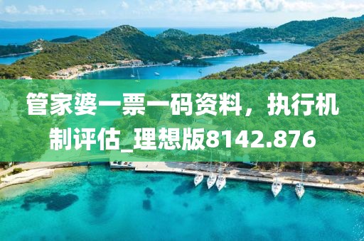 管家婆一票一码资料，执行机制评估_理想版8142.876