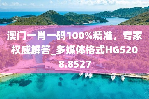 澳门一肖一码100%精准，专家权威解答_多媒体格式HG5208.8527