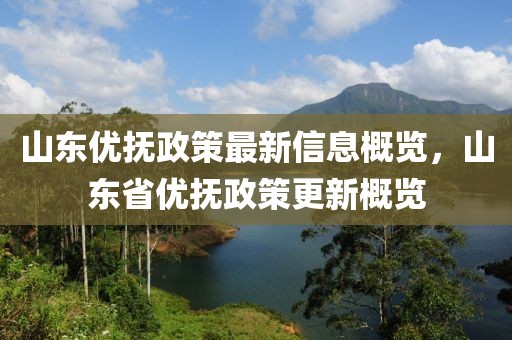 山东优抚政策最新信息概览，山东省优抚政策更新概览