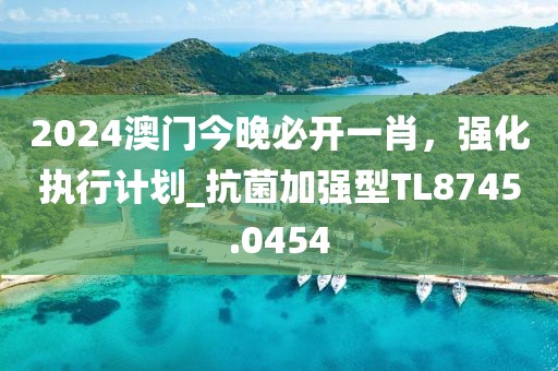 2024澳门今晚必开一肖，强化执行计划_抗菌加强型TL8745.0454