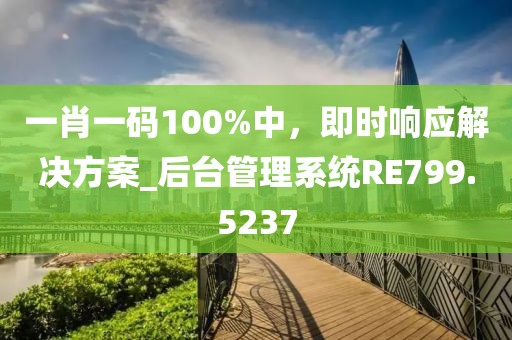 一肖一码100%中，即时响应解决方案_后台管理系统RE799.5237