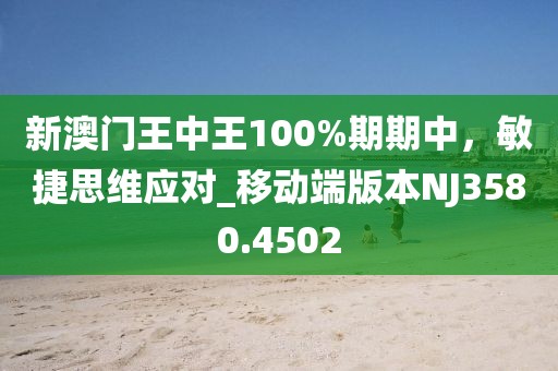 新澳门王中王100%期期中，敏捷思维应对_移动端版本NJ3580.4502