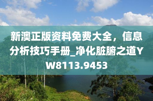 新澳正版资料免费大全，信息分析技巧手册_净化脏腑之道YW8113.9453