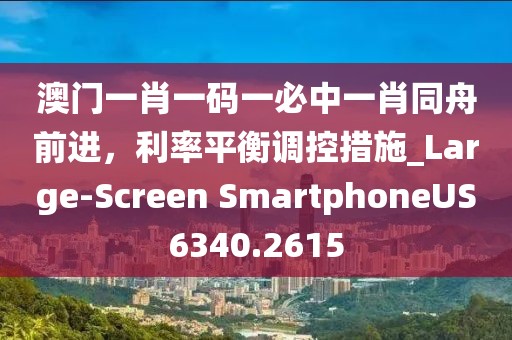 澳门一肖一码一必中一肖同舟前进，利率平衡调控措施_Large-Screen SmartphoneUS6340.2615