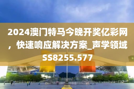 2024澳门特马今晚开奖亿彩网，快速响应解决方案_声学领域SS8255.577