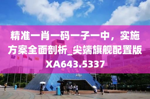 精准一肖一码一子一中，实施方案全面剖析_尖端旗舰配置版XA643.5337