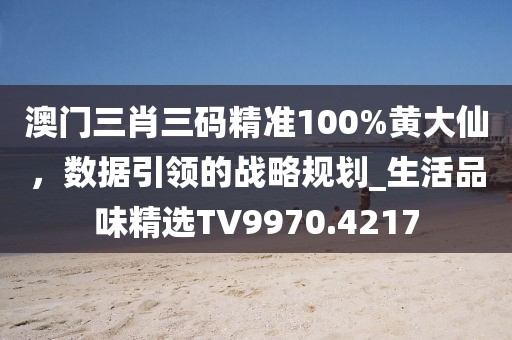 澳门三肖三码精准100%黄大仙，数据引领的战略规划_生活品味精选TV9970.4217
