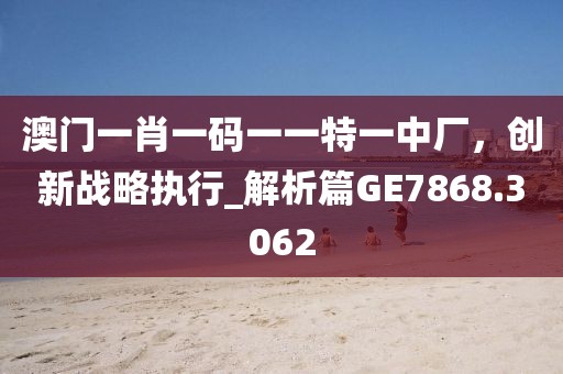 澳门一肖一码一一特一中厂，创新战略执行_解析篇GE7868.3062