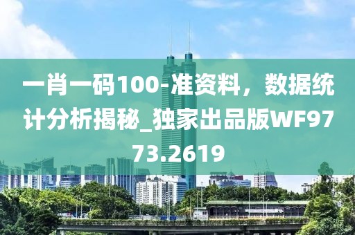 一肖一码100-准资料，数据统计分析揭秘_独家出品版WF9773.2619