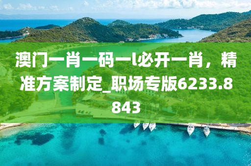 澳门一肖一码一l必开一肖，精准方案制定_职场专版6233.8843