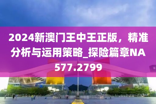 2024新澳门王中王正版，精准分析与运用策略_探险篇章NA577.2799