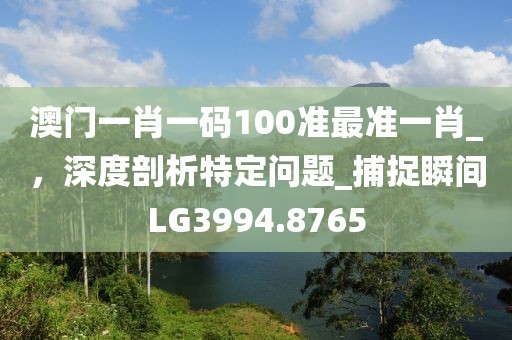 澳门一肖一码100准最准一肖_，深度剖析特定问题_捕捉瞬间LG3994.8765