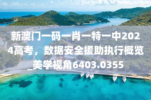新澳门一码一肖一特一中2024高考，数据安全援助执行概览_美学视角6403.0355