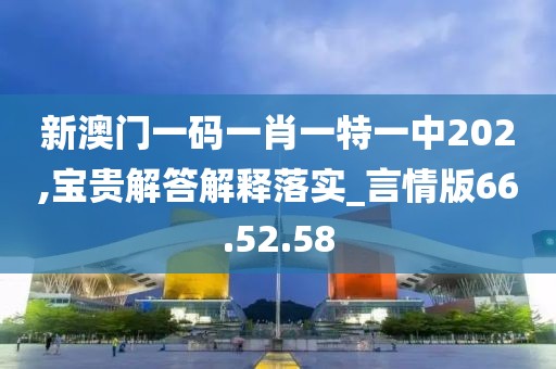 新澳门一码一肖一特一中202,宝贵解答解释落实_言情版66.52.58