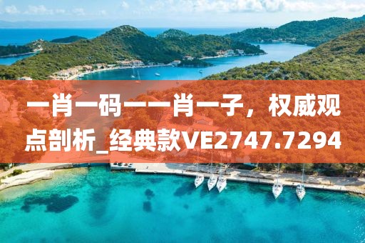 一肖一码一一肖一子，权威观点剖析_经典款VE2747.7294