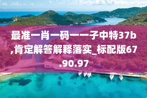 最准一肖一码一一子中特37b,肯定解答解释落实_标配版67.90.97
