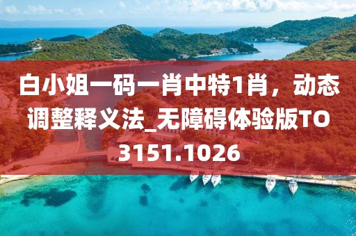 白小姐一码一肖中特1肖，动态调整释义法_无障碍体验版TO3151.1026