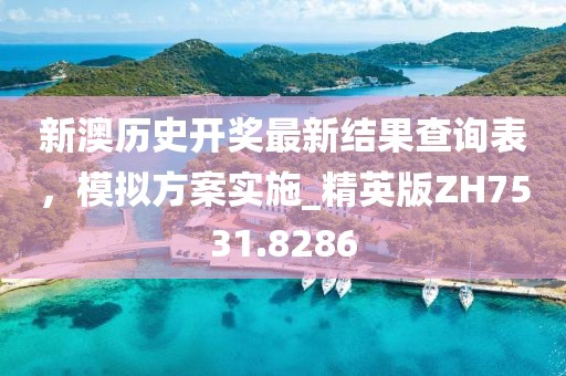 新澳历史开奖最新结果查询表，模拟方案实施_精英版ZH7531.8286