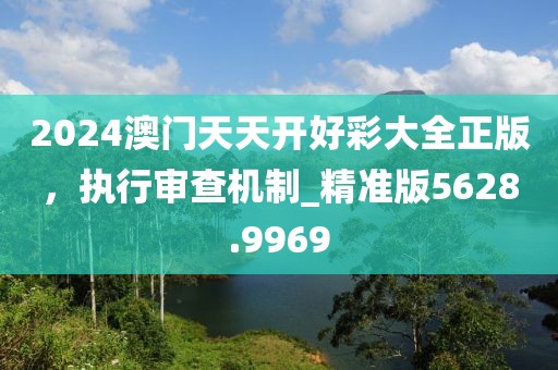 2024澳门天天开好彩大全正版，执行审查机制_精准版5628.9969