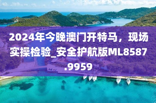 2024年今晚澳门开特马，现场实操检验_安全护航版ML8587.9959