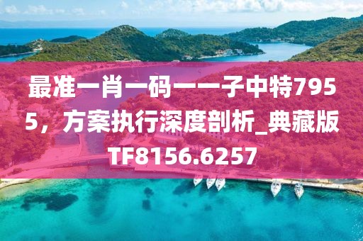 最准一肖一码一一子中特7955，方案执行深度剖析_典藏版TF8156.6257