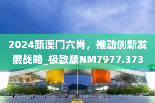 2024新澳门六肖，推动创新发展战略_极致版NM7977.373
