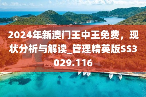 2024年新澳门王中王免费，现状分析与解读_管理精英版SS3029.116