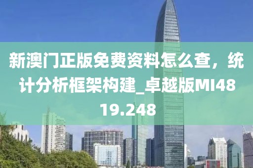 新澳门正版免费资料怎么查，统计分析框架构建_卓越版MI4819.248