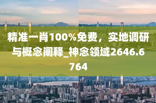 精准一肖100%免费，实地调研与概念阐释_神念领域2646.6764