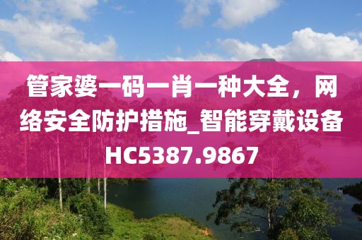 管家婆一码一肖一种大全，网络安全防护措施_智能穿戴设备HC5387.9867