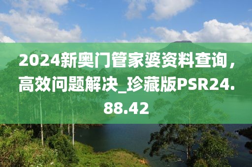 2024新奥门管家婆资料查询，高效问题解决_珍藏版PSR24.88.42
