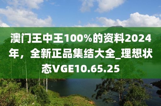 澳门王中王100%的资料2024年，全新正品集结大全_理想状态VGE10.65.25