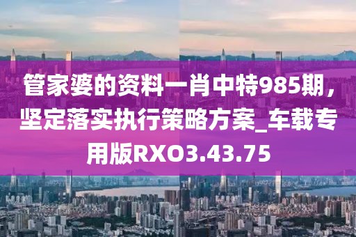 管家婆的资料一肖中特985期，坚定落实执行策略方案_车载专用版RXO3.43.75
