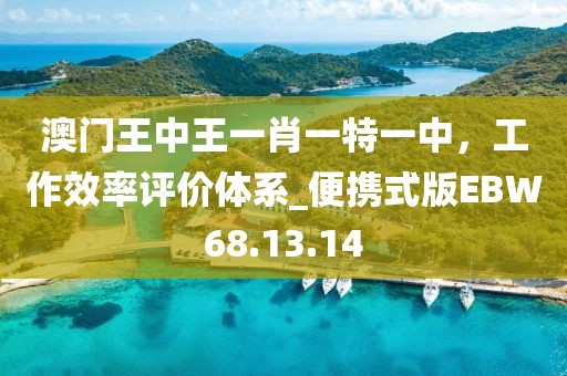澳门王中王一肖一特一中，工作效率评价体系_便携式版EBW68.13.14